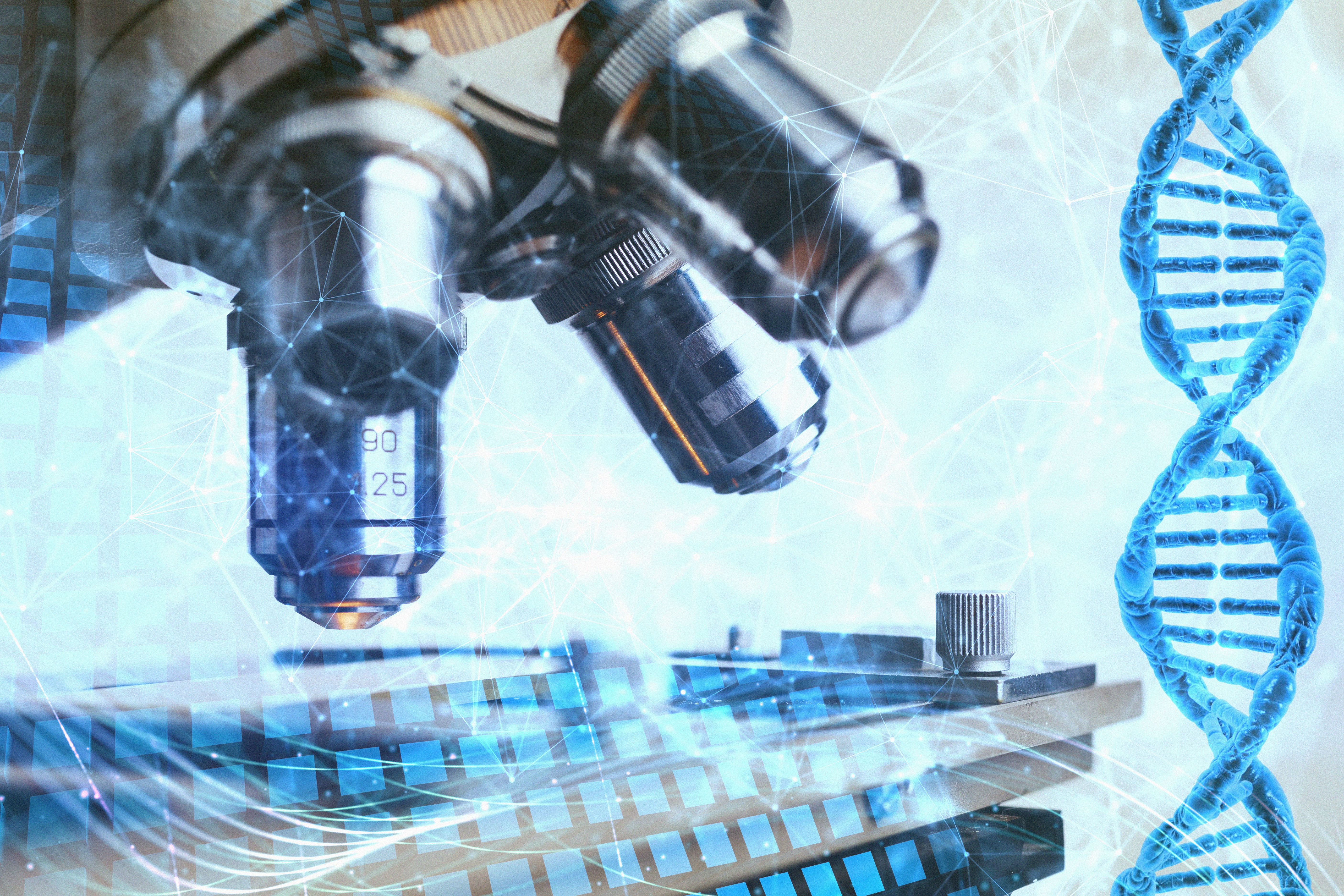 Immagine Consulenza Tecnico-Scientifica